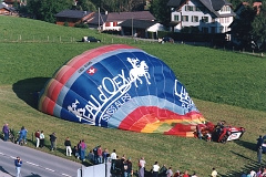 Coccinelle-montgolfiere - Cox Ballon (31)